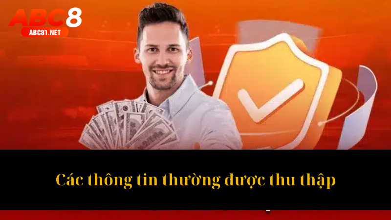 Các thông tin thường được thu thập