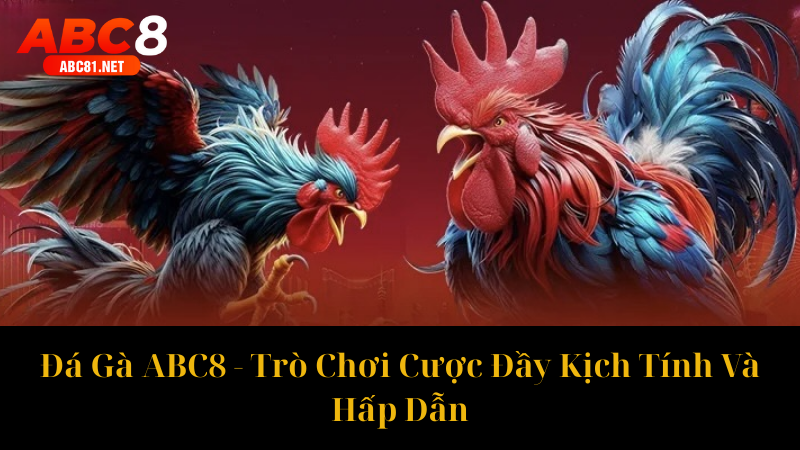Đá Gà ABC8 Trò Chơi Cược Đầy Kịch Tính Và Hấp Dẫn